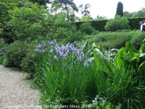 hidcote (22)